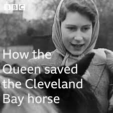 How The Queen Saved The Cleveland Bay Horse